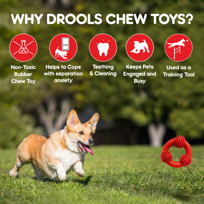 Drools Non-Toxic Rubber Trio Bolt Ring Toy for Dog