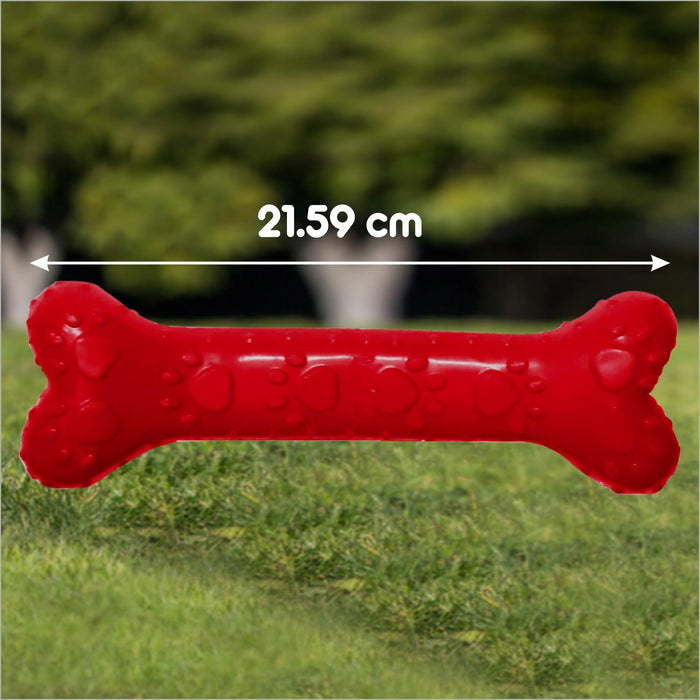 Drools Non-Toxic Rubber Chew Bone Toy for Dog