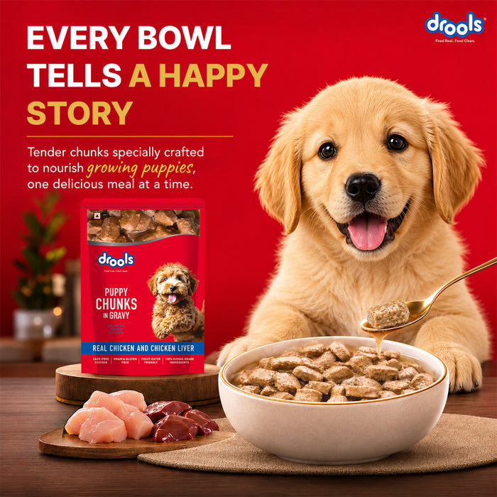 Drools Puppy Chicken Chunks Gravy Food for Dog