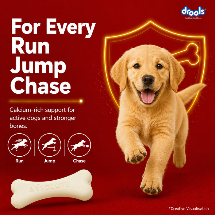 Drools Absolute Milk Bone Treats for Dog