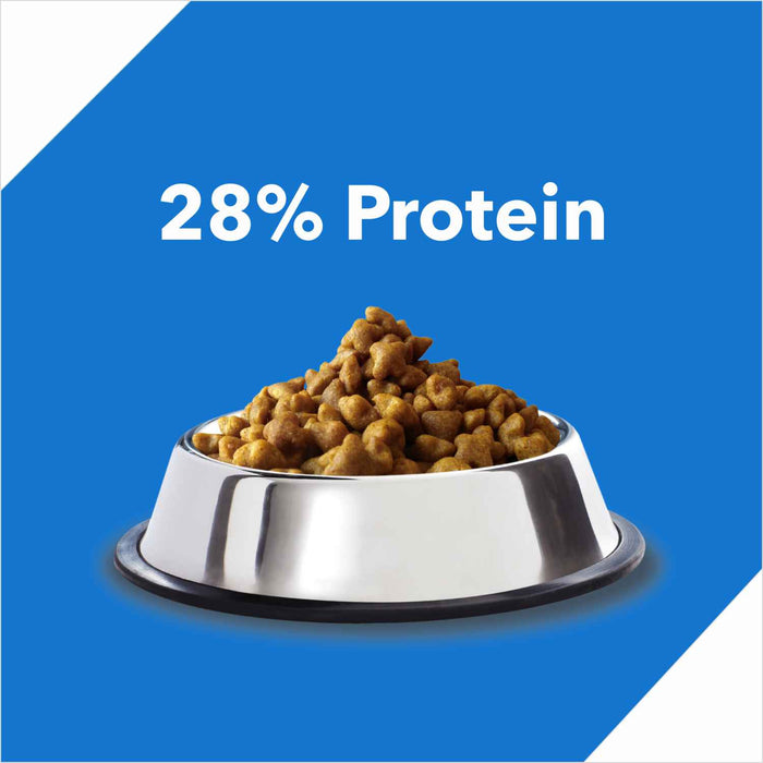 Drools Ocean Fish Adult Food for Cat