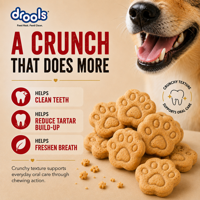 Drools Chicken and Egg Biscuit Treats for Dog
