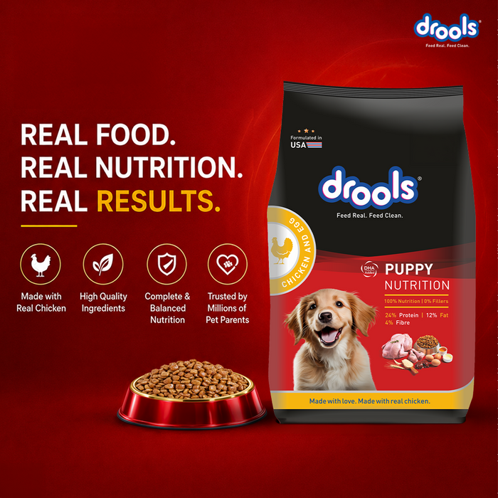 Drools Chicken Egg Puppy Food for Dog