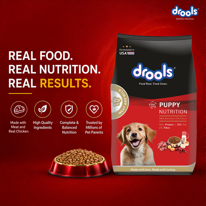 Drools Meat and Milk Puppy Food for Dog