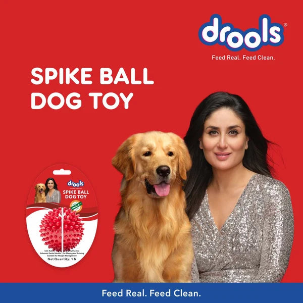 Drools Non-Toxic Rubber Stud Spike Hard Ball Chew Toy for Dog