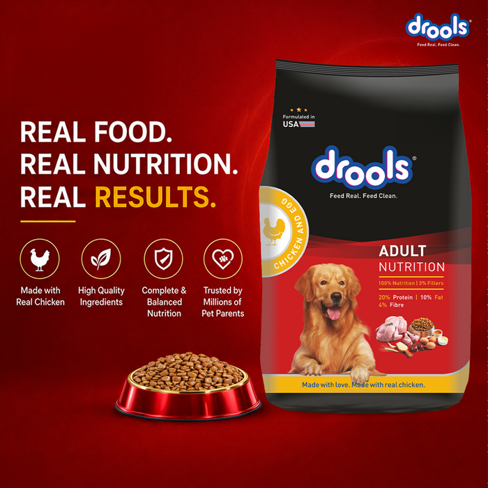 Drools CEA Food for Dog