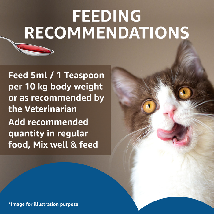 Drools Salmon Oil Syrup for Cat