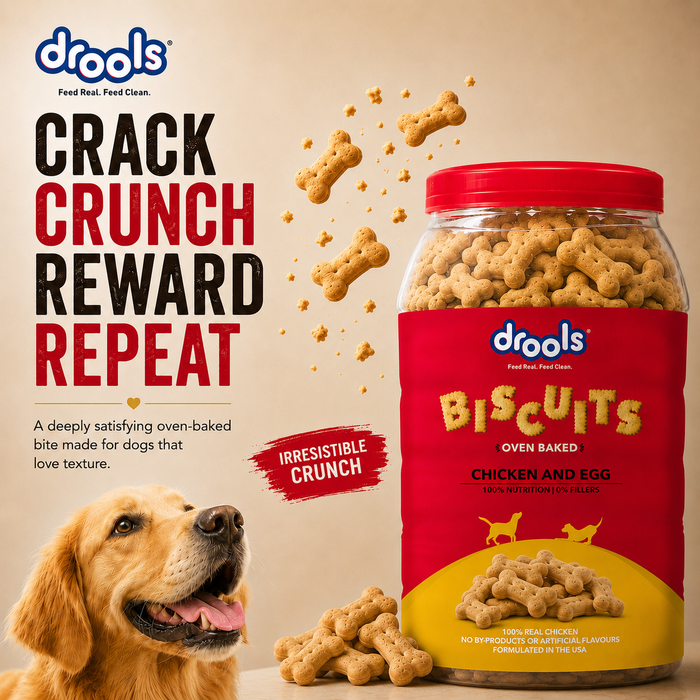 Drools Chicken and Egg Biscuit Treats for Dog