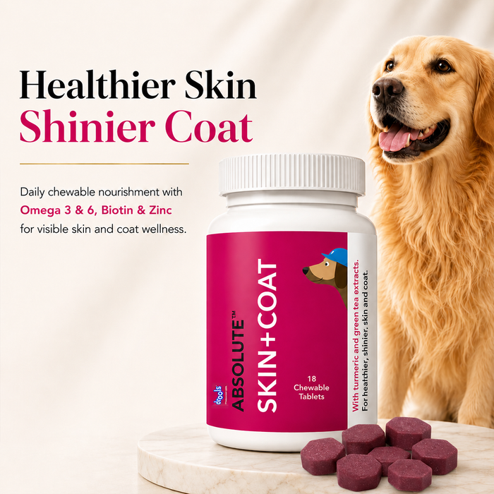 Drools Absolute Skin & Coat Tablets for Dog
