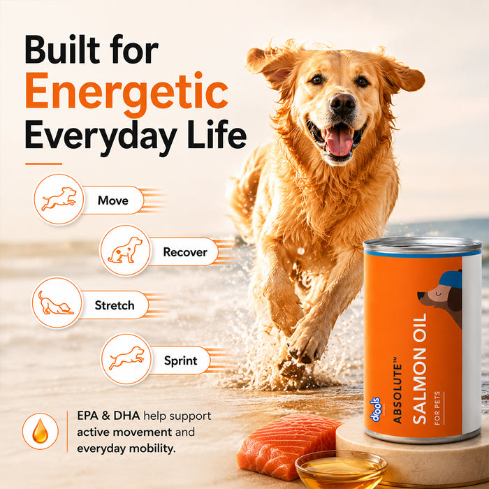 Drools Absolute Salmon Oil Syrup for Dog