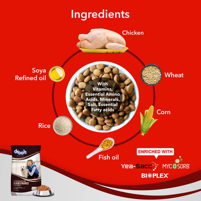 Drools Maintenance Food for Dog