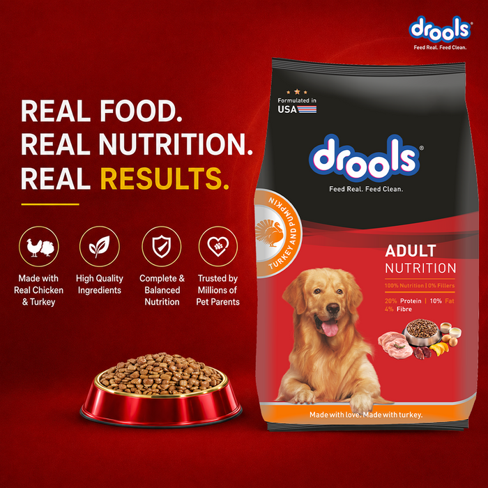 Drools Turkey with Wild Rice and Pumpkin Chunks in Gravy Adult Food for Dog