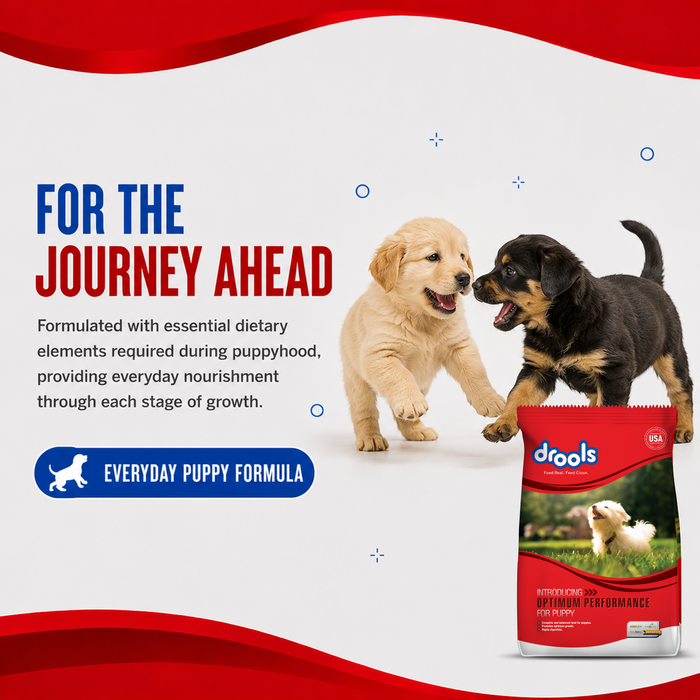 Drools Optimum Performance Puppy Food for Dog