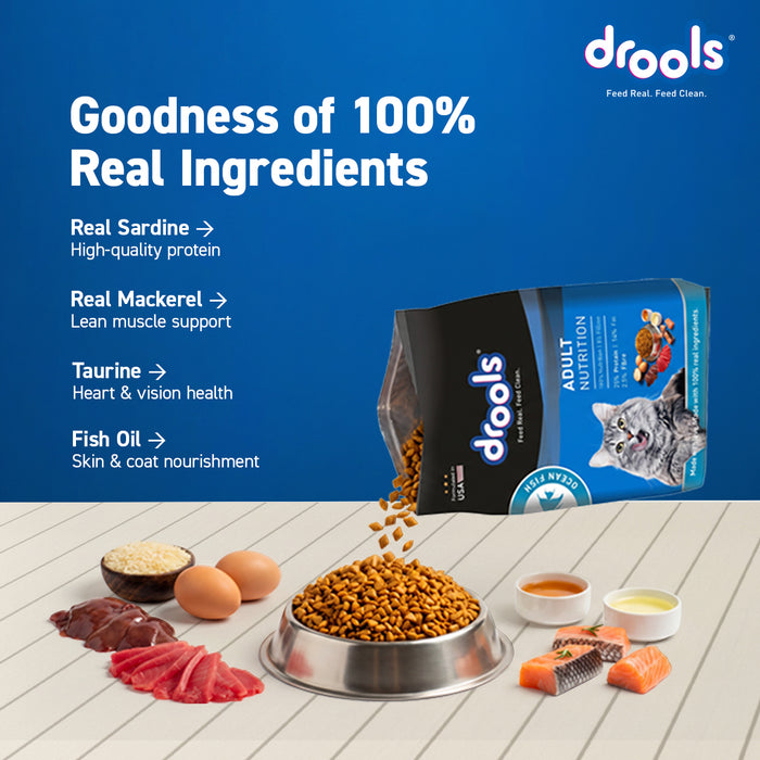 Drools Ocean Fish Adult Food for Cat