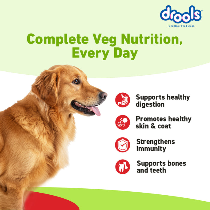 Drools All Lifestages 100% Veg Dry Dog Food for Dog
