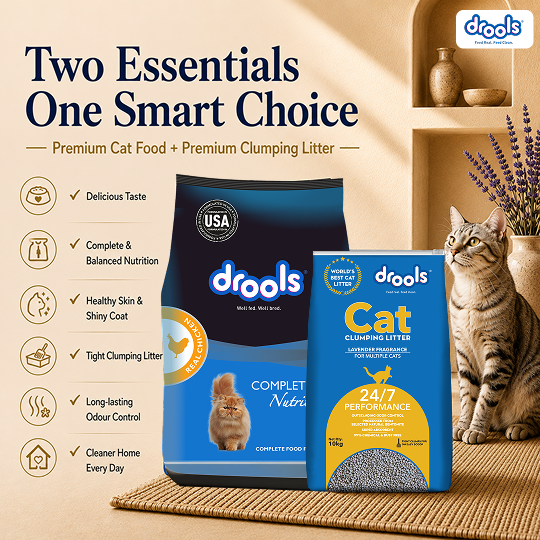 Drools Cat Real Chicken Food for Cat