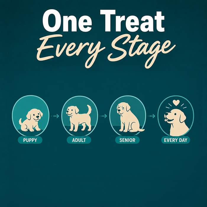 Drools Creamy Chicken & Pumpkin Sticks Treats for Dog