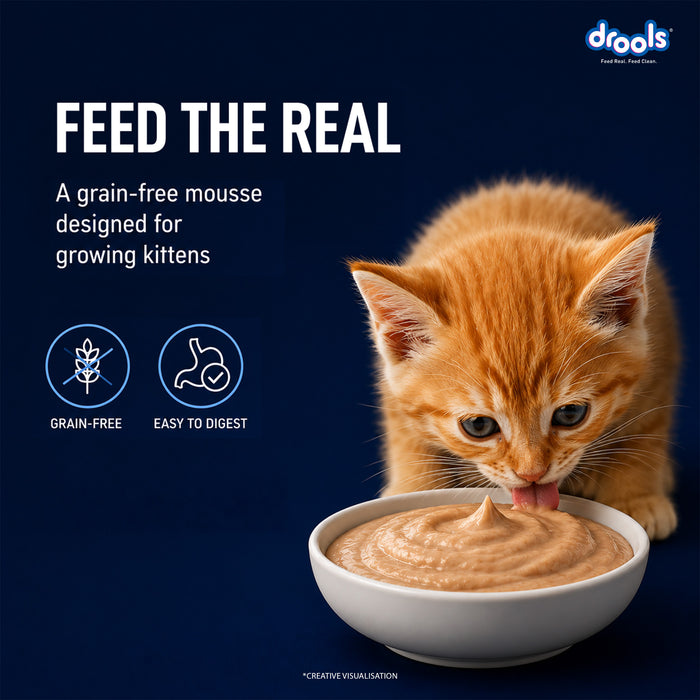 Drools Ocean Fish Mousse Kitten Food for Cat
