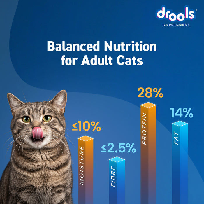 Drools Ocean Fish Adult Food for Cat
