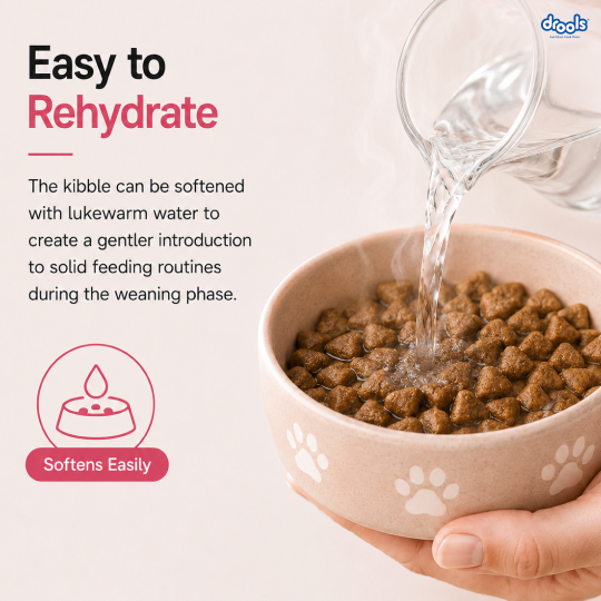 Drools Chicken and Egg Mother & Puppy Dry Food for Dog