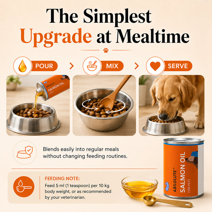 Drools Absolute Salmon Oil Syrup for Dog