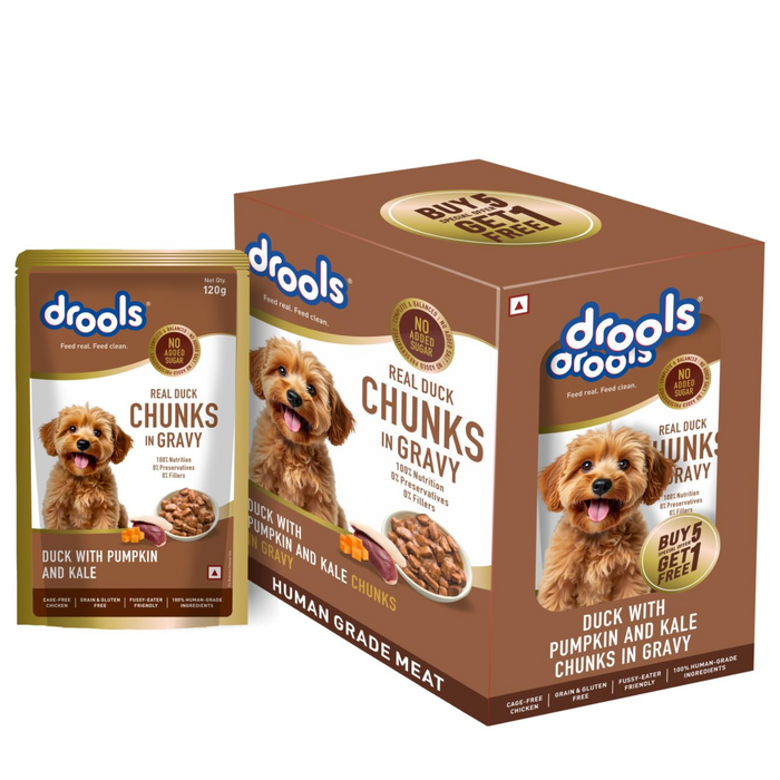 Drools Duck with Pumpkin and Tomato Chunks in Gravy Adult Food for Dog