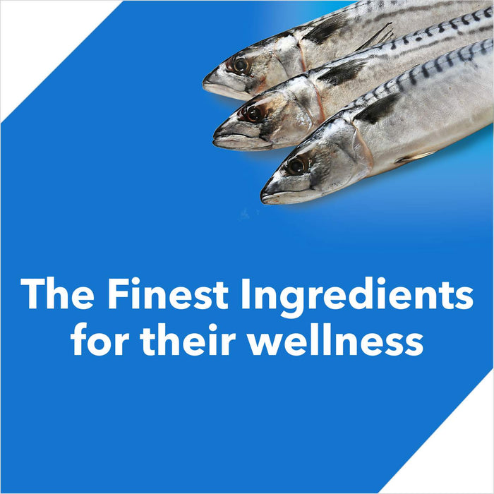 Drools Ocean Fish Adult Food for Cat