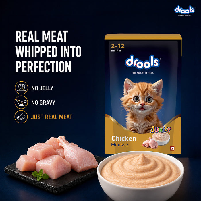 Drools Chicken Mousse Kitten Food for Cat