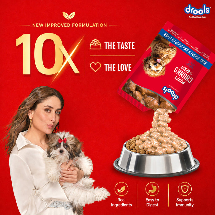 Drools Puppy Chicken Chunks Gravy Food for Dog