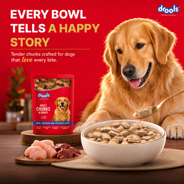 Drools Adult Chicken Chunks Gravy Food for Dogs