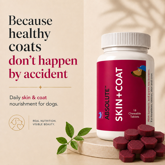 Drools Absolute Skin & Coat Tablets for Dog