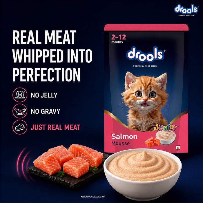 Drools Salmon Mousse Kitten Food for Cat