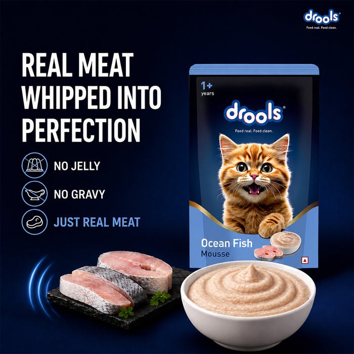 Drools Ocean Fish Mousse Food for Cat