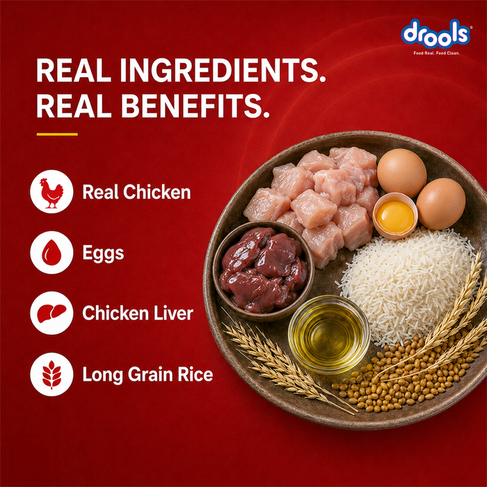 Drools CEA Food for Dog