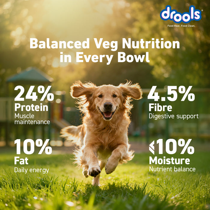 Drools All Lifestages Veg Dry Dog Food for Dog