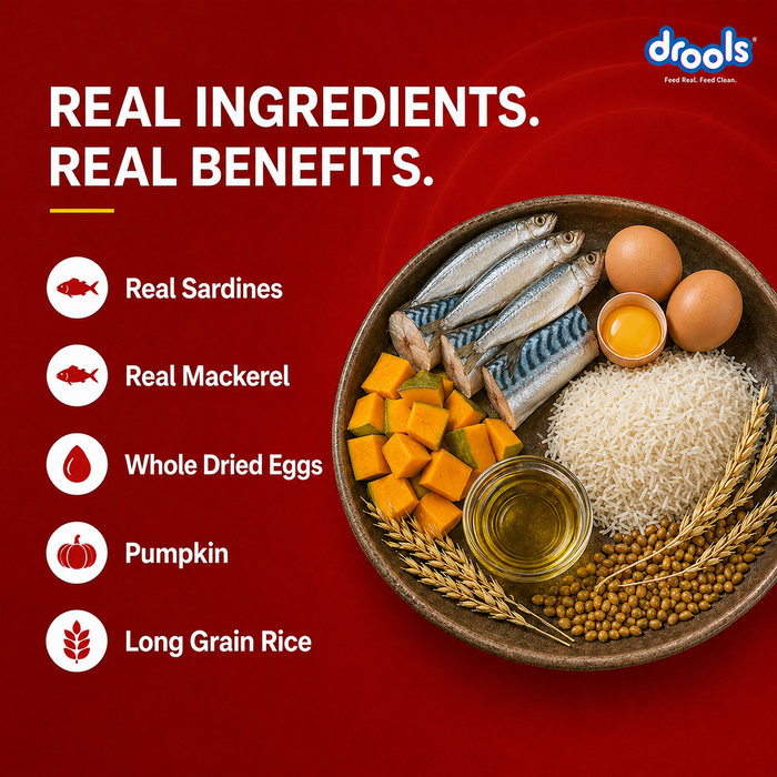 Drools Fish and Rice Adult Food for Dog