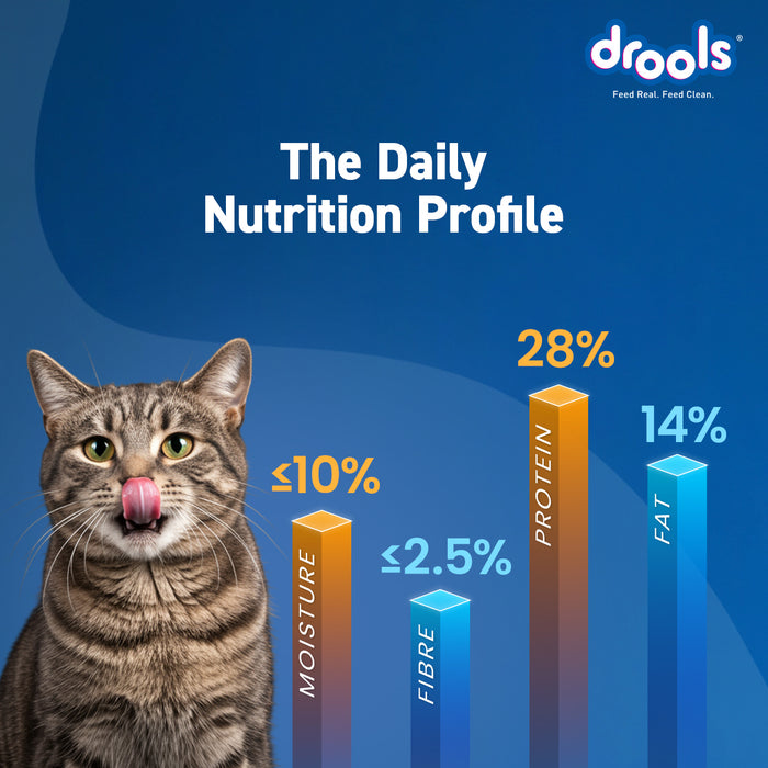 Drools Cat Tuna and Salmon Food for Cat