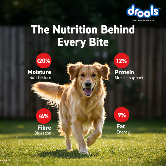 Drools Chicken Blueberry Flavor Treats Sticks for Dog