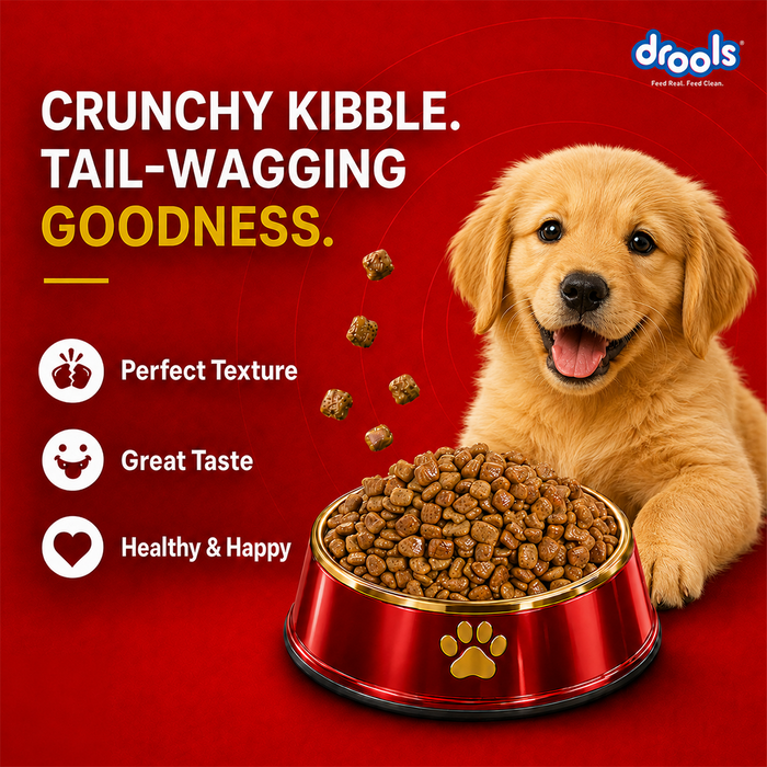Drools Chicken Egg Puppy Food for Dog