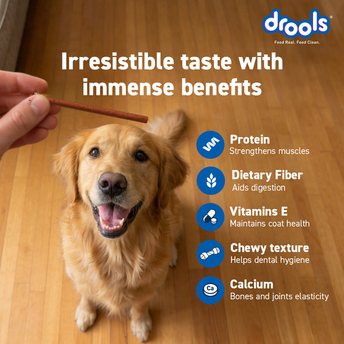 Drools Chicken Carrot Flavor Treats Sticks for Dog