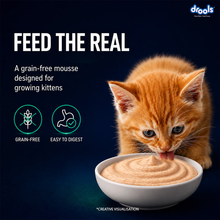 Drools Tuna Mousse Kitten Food for Cat