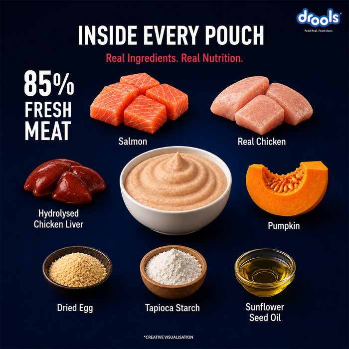 Drools Salmon Mousse Food for Cat