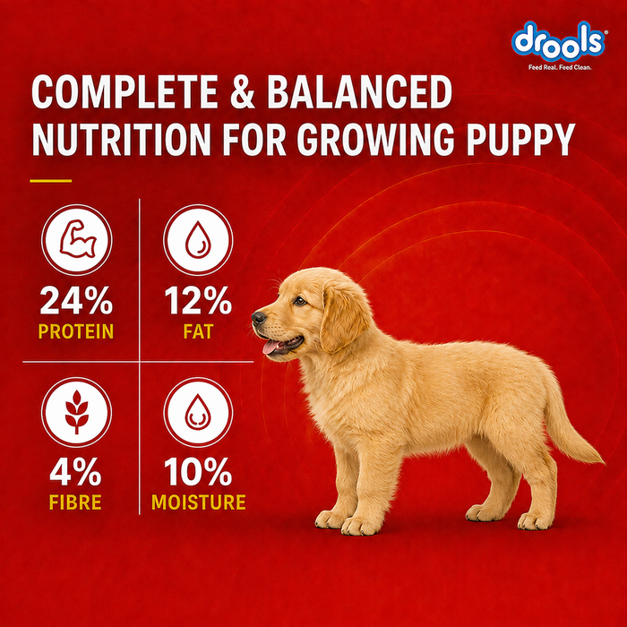 Drools Meat and Milk Puppy Food for Dog