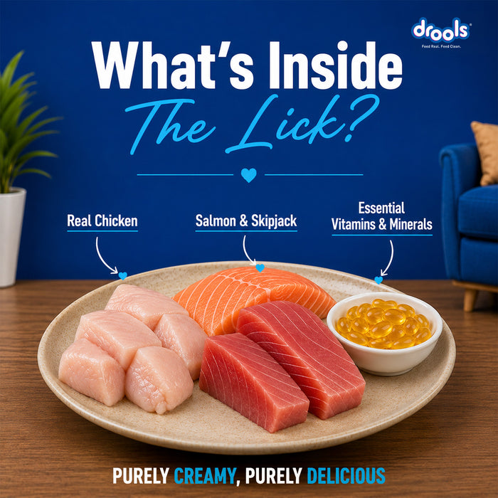 Drools Creamy Lickable Salmon & Skipjack Treats for Cat