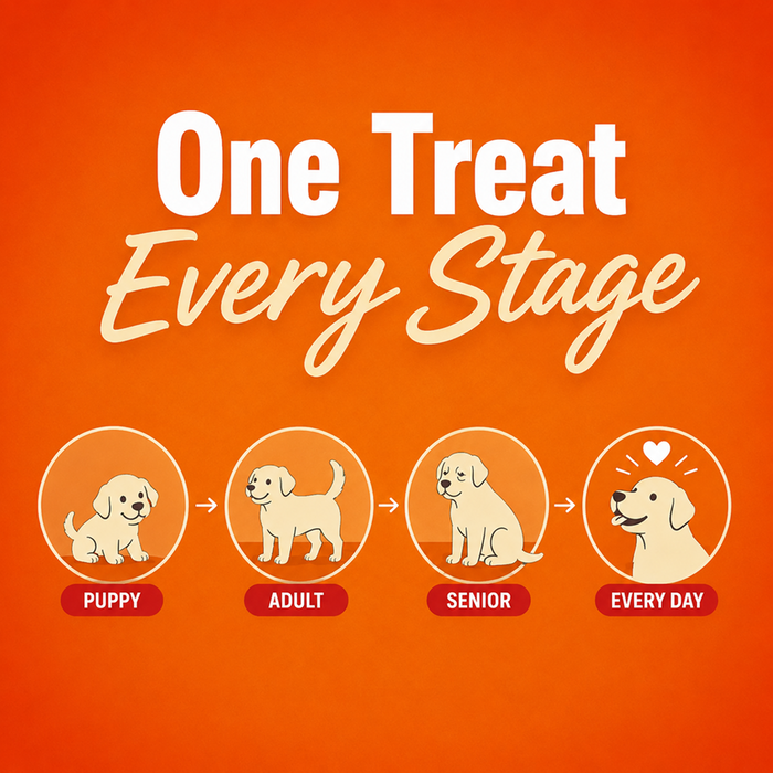 Drools Creamy Chicken & Carrot Sticks Treats for Dog