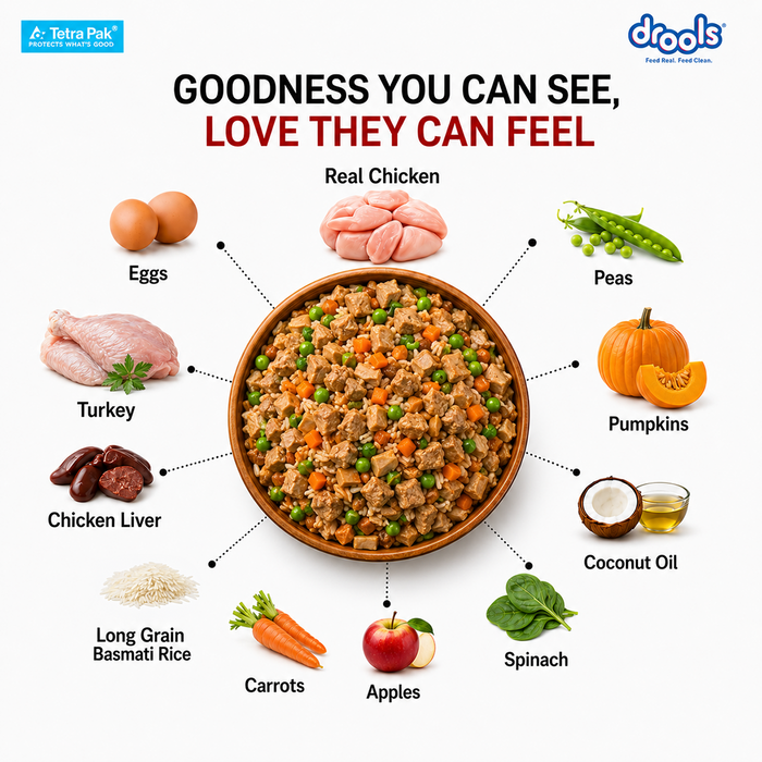 Drools Tetra Pack Real Chicken and Turkey Food for Dog