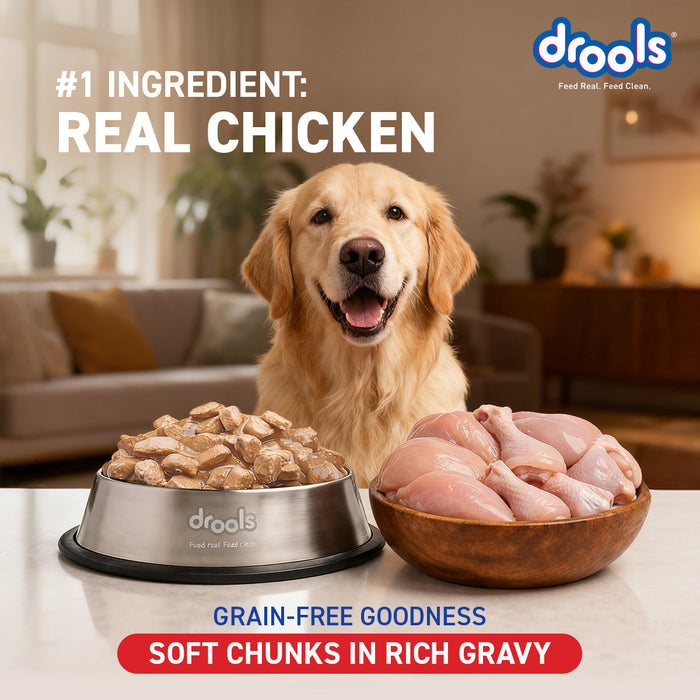 Drools Double Nutrition Adult Food for Dog