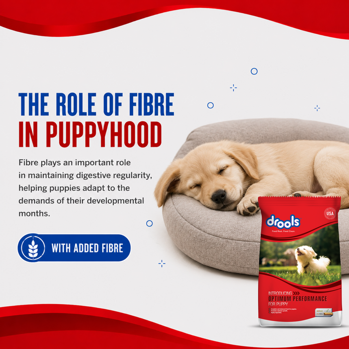 Drools Optimum Performance Puppy Food for Dog