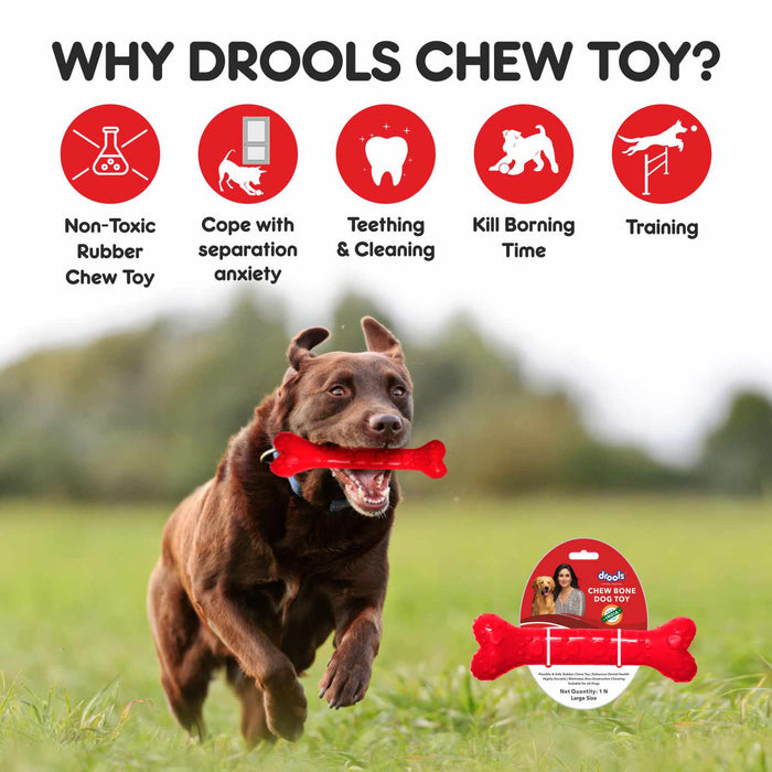 Drools Non-Toxic Rubber Chew Bone Toy for Dog