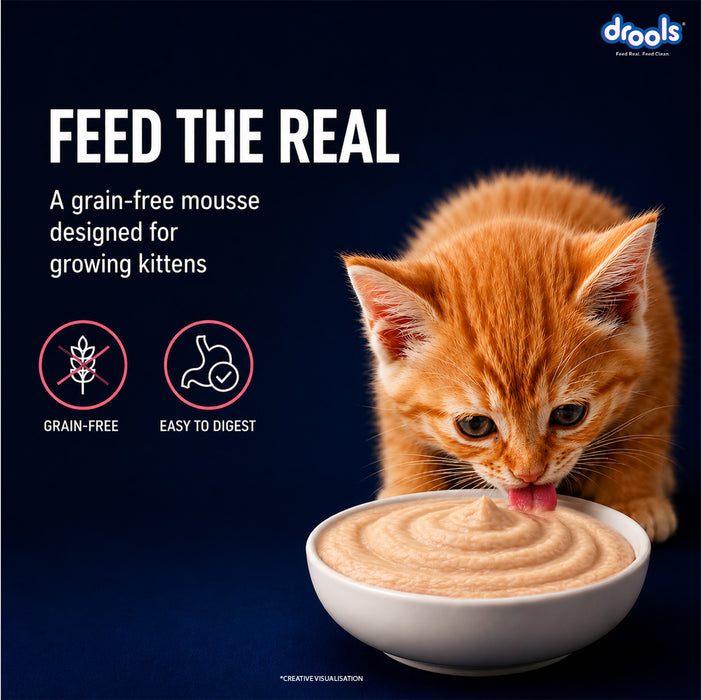 Drools Salmon Mousse Kitten Food for Cat